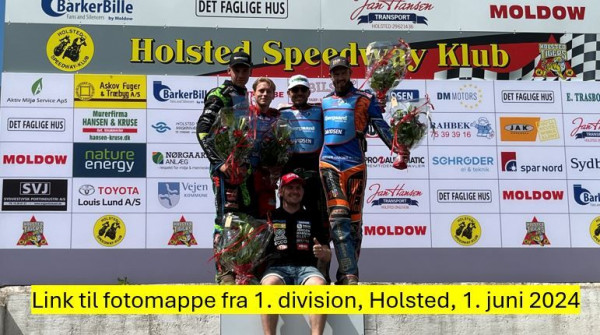 1_div_holsted_foto.JPG